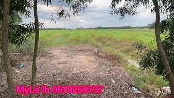 Cần bán nhanh DT 26 công giá 130 triệu 1 công thuộc huyện Thạnh hóa tỉnh Long An