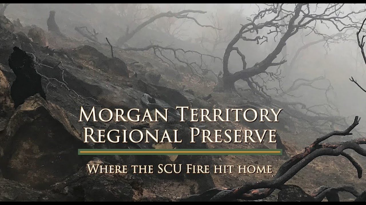 Fire, Drought, Rain and Hope: Morgan Territory Regional Preserve
