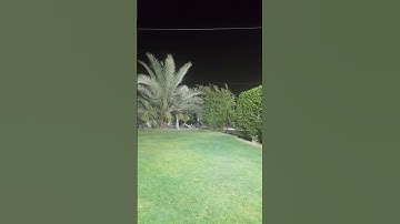 🎬 تلاوة خاشعة تريح القلب 💜💜 | إني جزيتهم اليوم.... إسلام صبحي | #خواتيم_سورة_المؤمنون #اسلام_صبحي👤🇮🇶