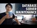 Let's do server maintenance (MySql database migration, web domain names)