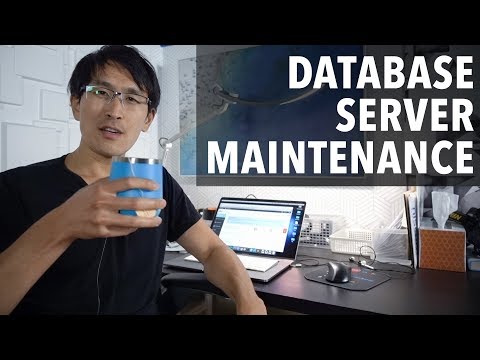 Let's do server maintenance (MySql database migration, web domain names)