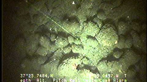 F307NC_Tape19v.noaudio.mpg