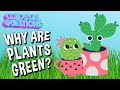 Understanding Why Plants Are Green