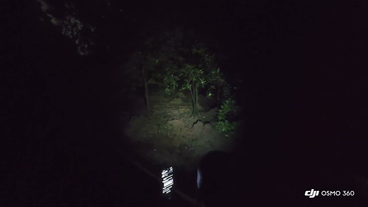 Nightwalk At Pasir Ris