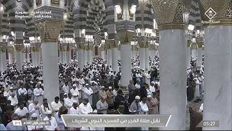 صلاة الفجر المسجد النبوي الشيخ صلاح البدير | السبت 10 جمادى الأولى 1447هـ سورة المرسلات.