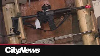 Federal Gun Buyback Program Far From Target Ahead Of Deadline