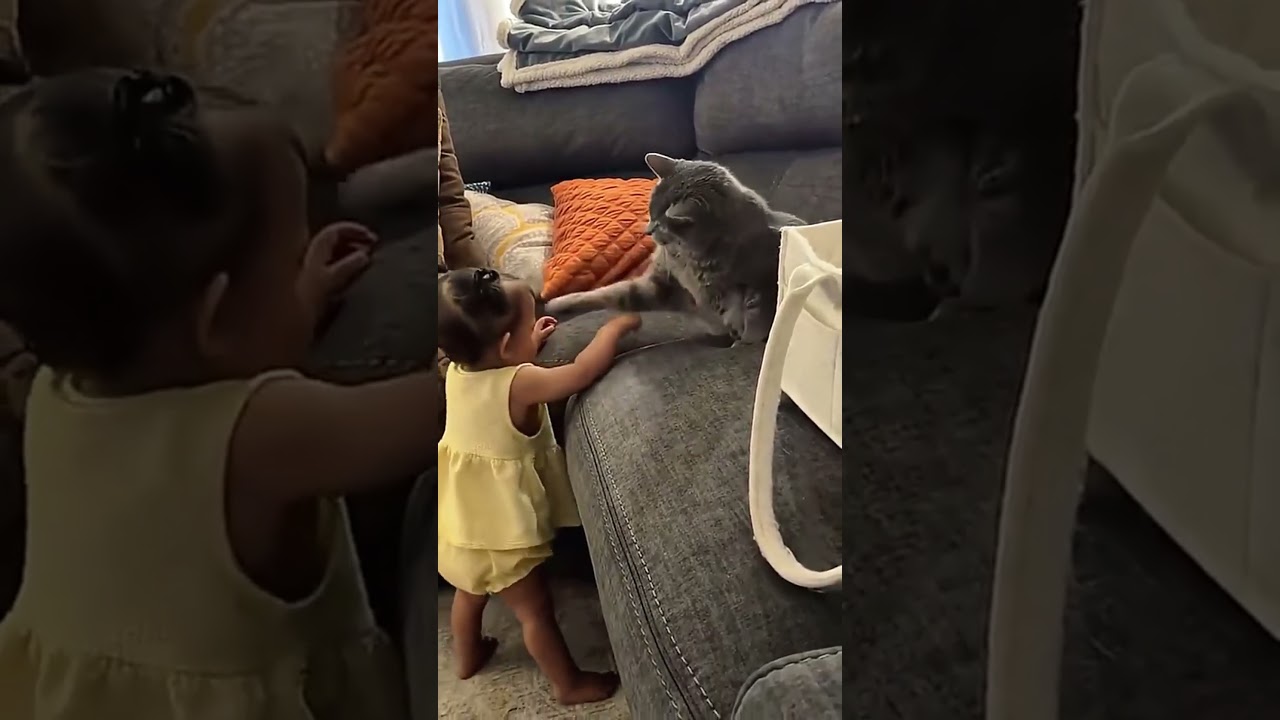 This good boy is pure silly dog energy 🐶😂 