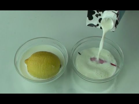 Video: Yoghurtstarter: Gör En Hälsosam Efterrätt