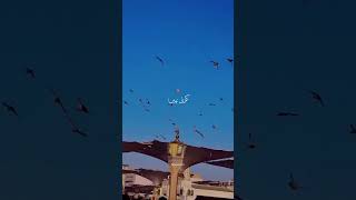 mashallah ❤️🥰 #viralvideo #newsreels #trendingshorts