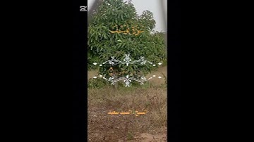 ارقي نفسك من سورة يوسف عليه السلام #القزابري #دويتو #المصحف #القرآنالكريم #تيك_توك #اكسبلور