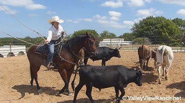Teles Sumpin - roping and working cows! - ValleyViewRanch.net