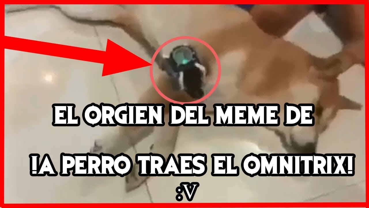 El origen del meme de !Ah perro Traes! El omnitrix :v - YouTube