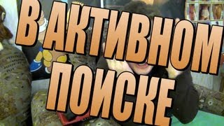 В АКТИВНОМ ПОИСКЕ В АКТИВНОМ ПОИСКЕ