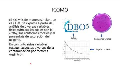 ¿Cuál es el porcentaje de la contaminacion en el mundo?