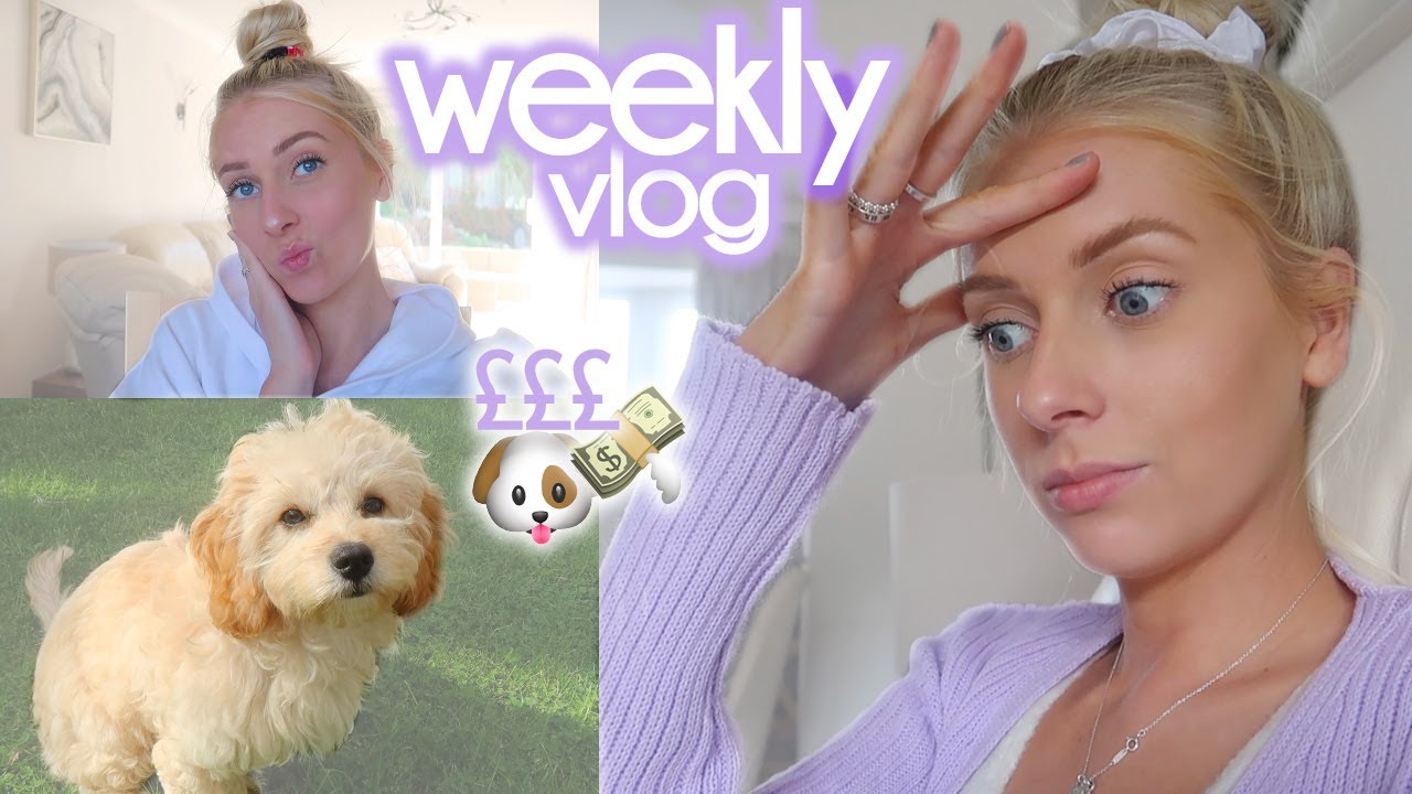 a BIG purchase is coming 😬 & Sunny's first puppy groom! // VLOG #16 