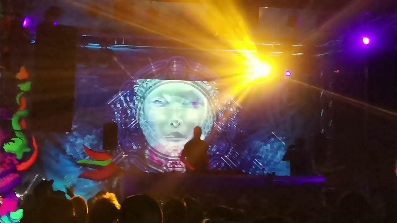 Asot 650 miami. Gaia festival. Laguna grove сцена. Armin_van_buuren_pres_gaia-tuvan. Gaia festival.