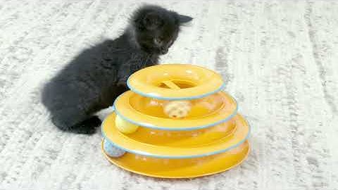 #Petstages Tower of Tracks Interactive 3 Tier Cat Toy  Pet Stages Tower  Pet Supplies