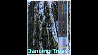 Dancing Trees : making an hybrid orchestral and synths ambience with a Max for live sequencer