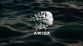 AMIDA - Life Is A Journey