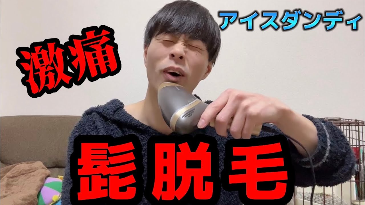 Ice Dandy] We