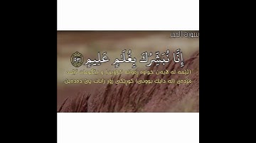 قرآن كريم بصوت جميل ستوريات دينيه ستوري انستا قرآن ستوريات بدون حقوق تصاميم دينيه بدون حقوق❤️📜