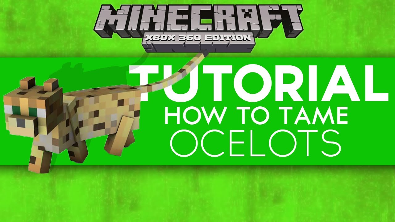 Minecraft Tutorial | How to tame Ocelots | XBOX 360 | Maxcraft360 - YouTube