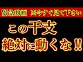 この干支《動くと損》失敗する前に見てください。ゆっくり解説。