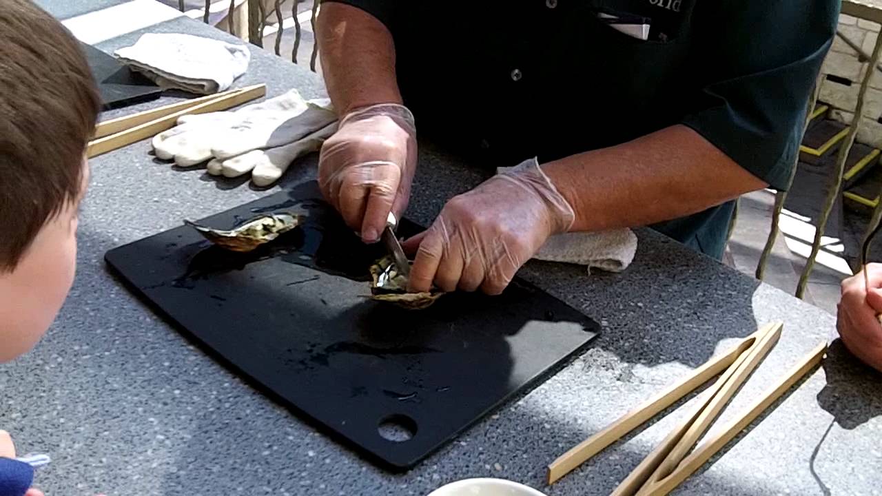 Sea World oyster Pearl YouTube