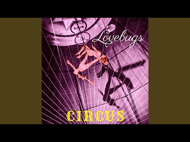 Lovebugs  (norway) - Circus