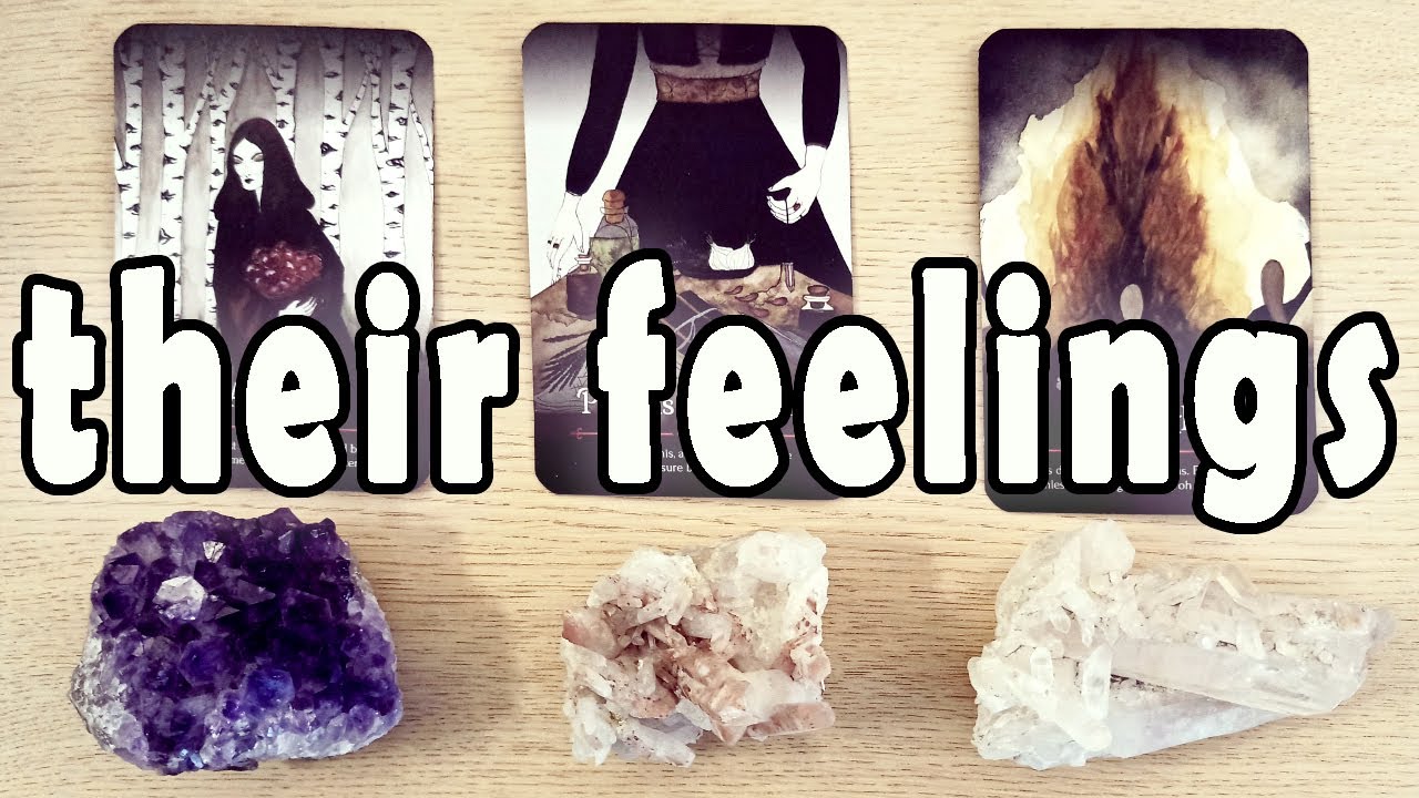 THEIR FEELINGS FOR YOU RIGHT NOW! PICK A CARD TIMELESS TAROT READING
