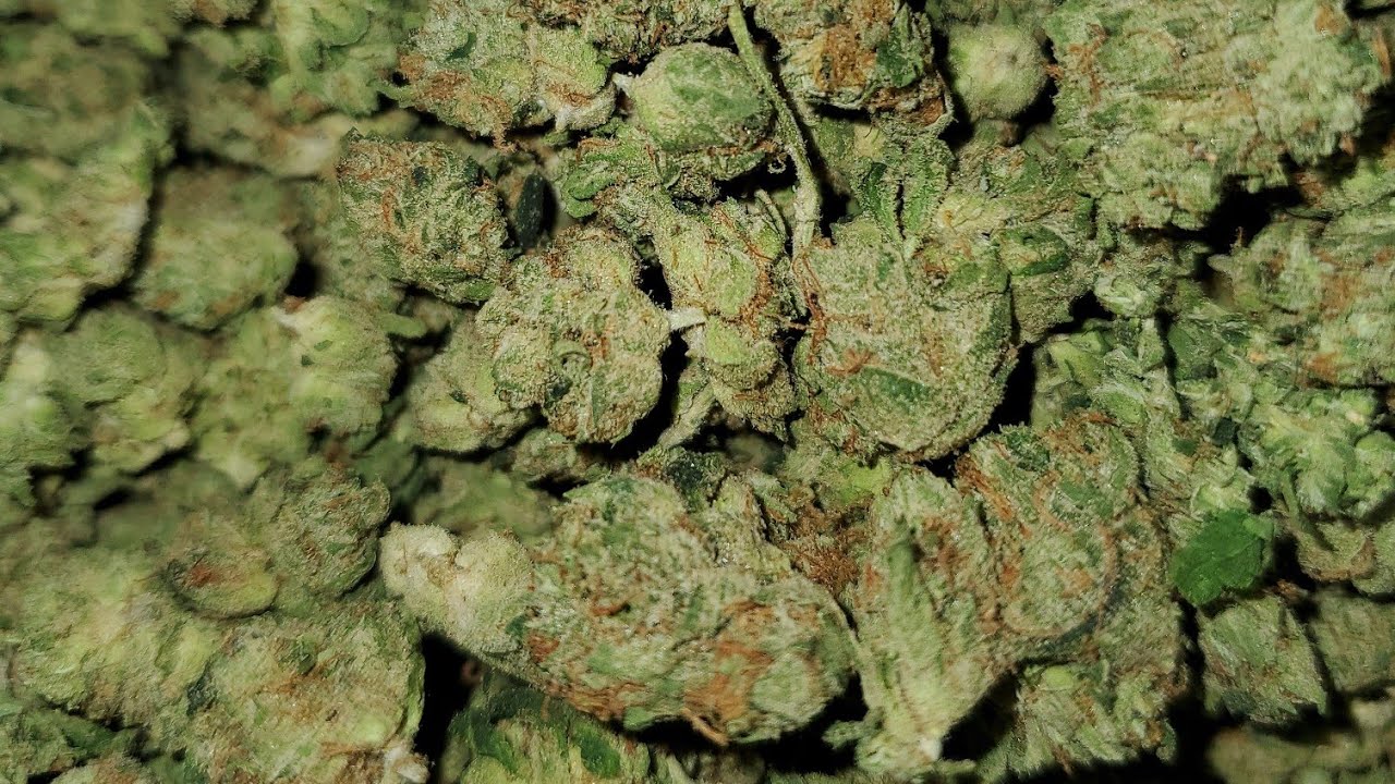 DEADHEAD OG STRAIN WAKE AND BAKE STYLE YouTube