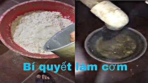 Dúi trung quốc | Dúi mốc đại | Bí quyết làm cơm cho dúi ăn buổi tối | Chuột Tre 360