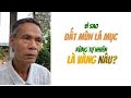 02- ĐẤT MÙN LÁ MỤC RỪNG TỰ NHIÊN LÀ VÀNGNÂU