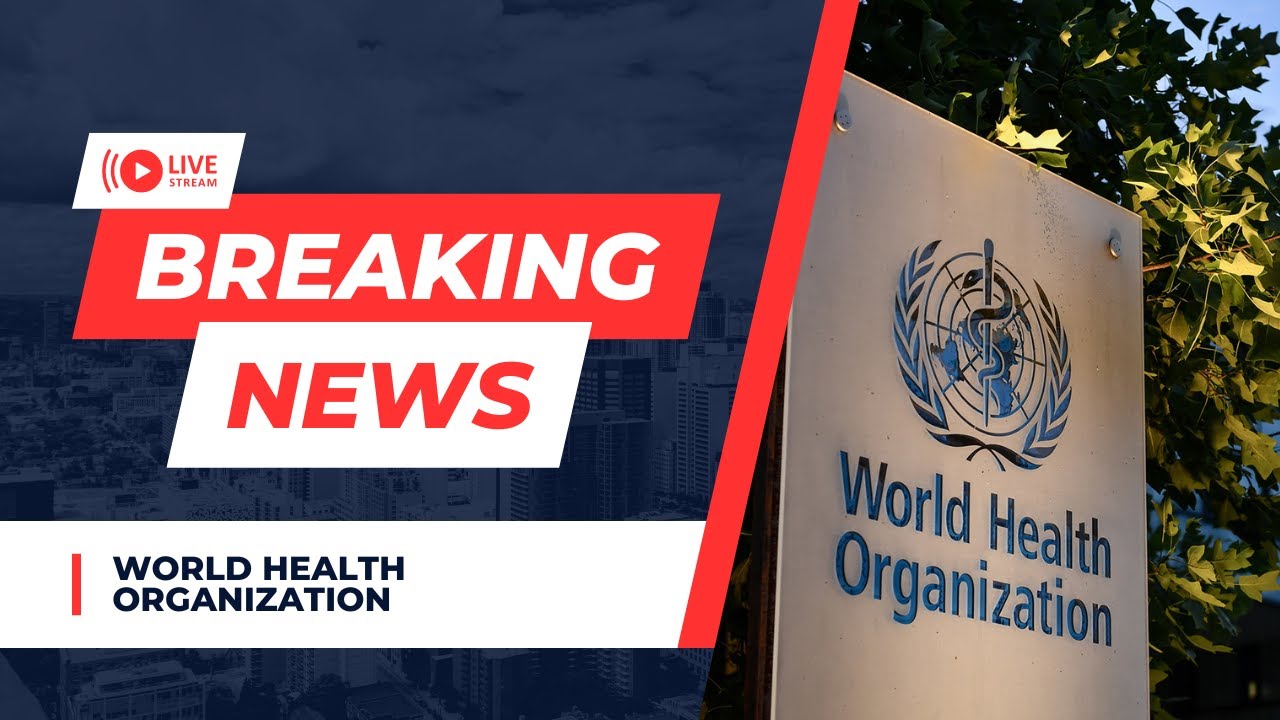 LAW614 - GROUP 4 - DOCUMENTARY OF WORLD HEALTH ORGANIZATION - YouTube