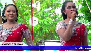 🔴Siang Campursari LANGGENG BUDOYO Pimp. Ki Yohan Susilo ( Siang )