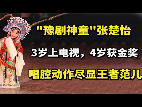 "豫剧神童"张楚怡：3岁上电视，4岁获金奖，唱腔动作尽显王者范儿