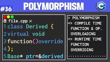 Polymorphism in C++ OOP