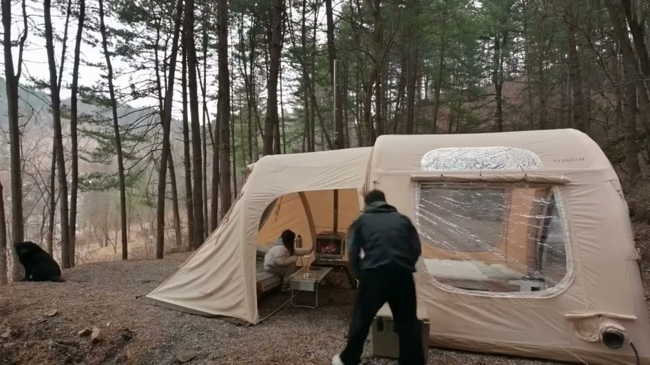 Midnight Camping with My Best Friend 🏕️🐾**
