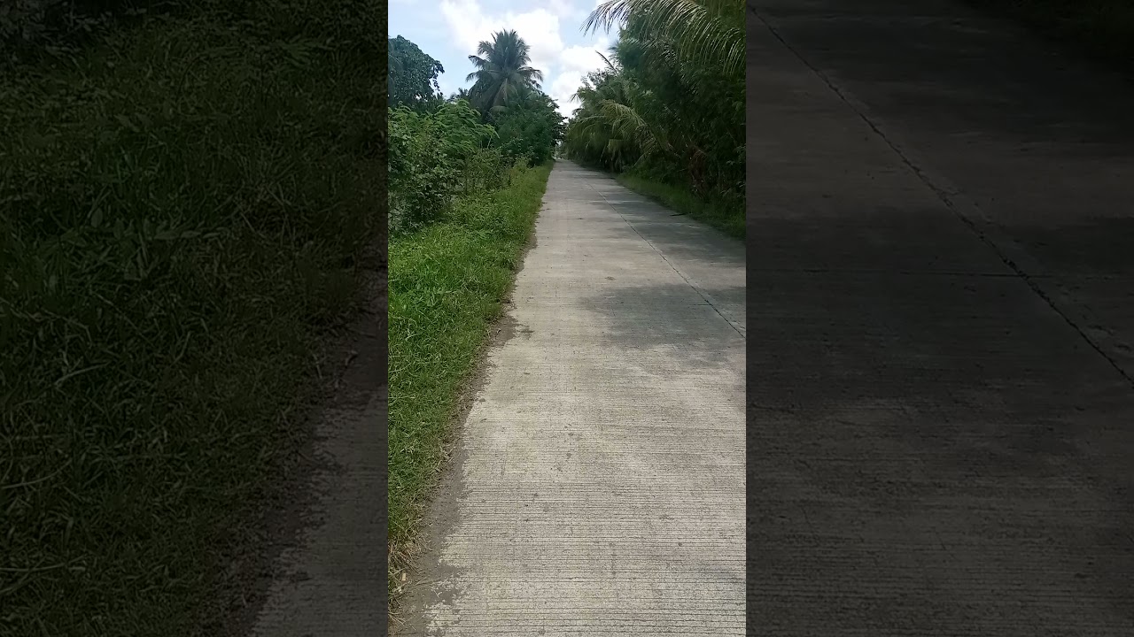 smash 115 vs Rouser 150