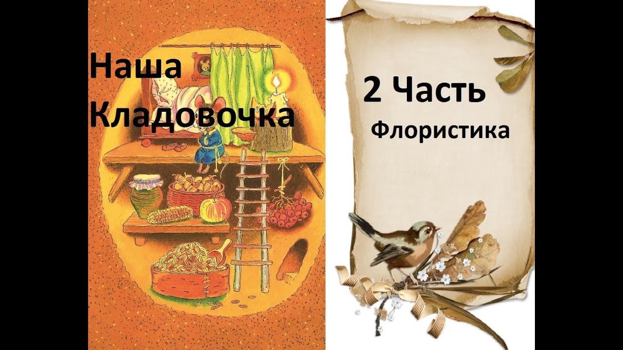 Большая  распаковка СП