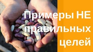 Целеполагание Достижение целей Примеры не правильных целей Целеполагание Достижение целей Примеры не правильных целей