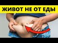 Жирный Живот Не От Еды! Он Уйдёт За 10 Дней, Если Следовать Этим...