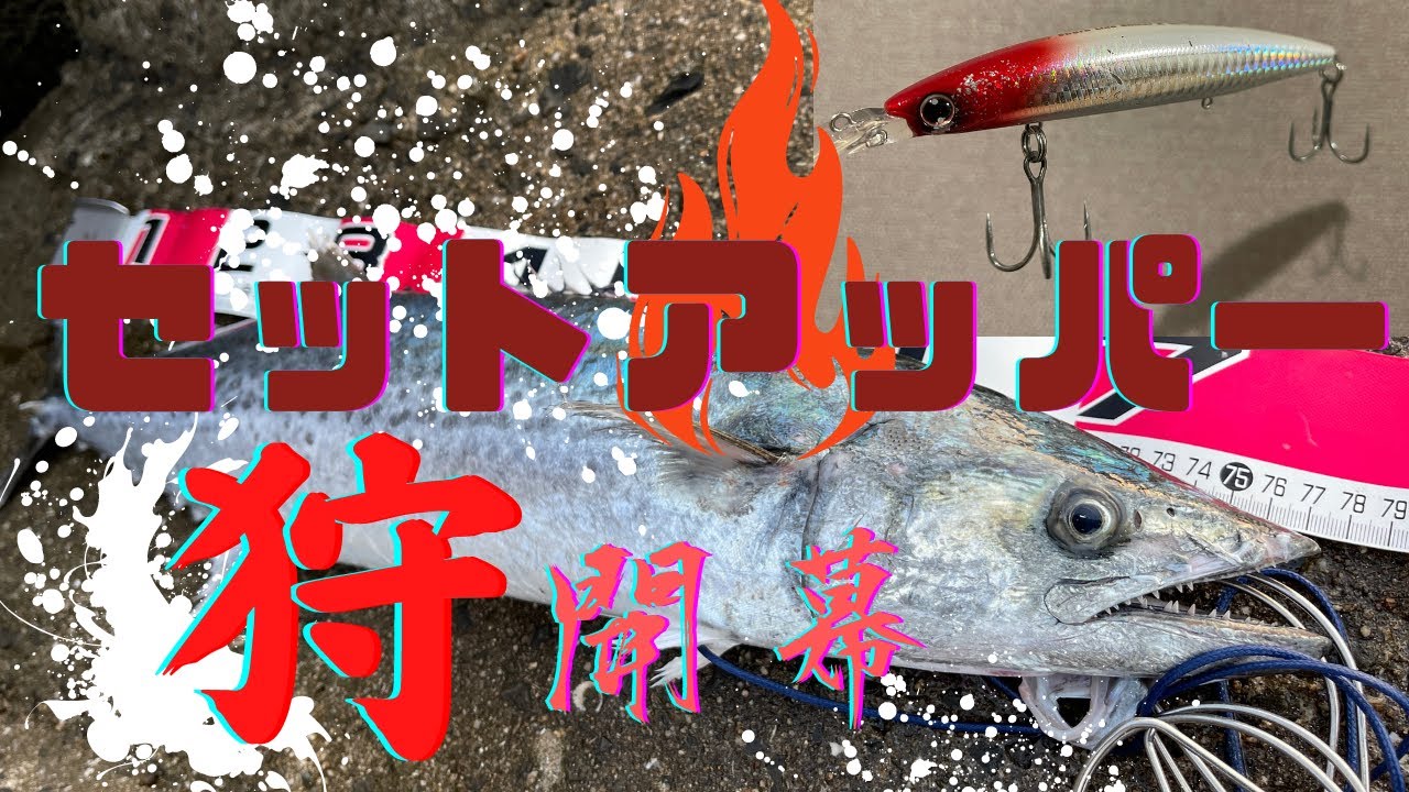 青物釣り】【ショアジギング】セットアッパー表層早巻きで狩る！！薄明