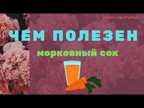 Чем полезен морковный сок