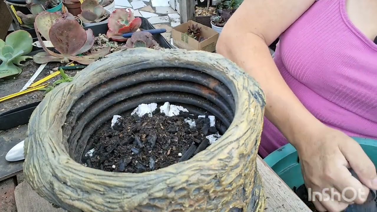 30 de novembro de 2025