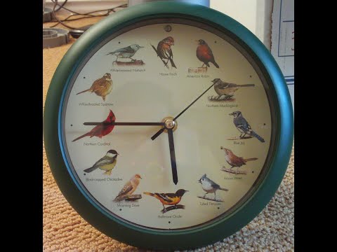 wall clock with light sensor the singing birdclock includes 12 genuine original field recordings from native songbirds or a cuckoo call KOOKOO Tree quartz