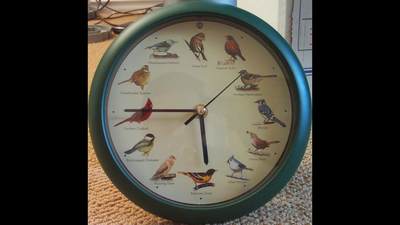 Mark Feldstein Unbranded 8'' 15TH Anniversary Singing Bird Clock 9/11