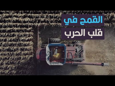 الحرب الروسية-الأوكرانية قد تُنذر بأزمة قمح في العالم العربي.. كيف ذلك؟