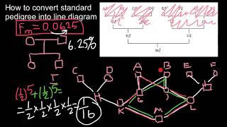 How to convert standard pedigree into line diagram