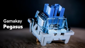 Ultimate Gamakay Pegasus Silent Tactile switch Sound Test!